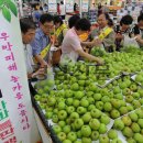 농협하나로클럽창원점 이미지