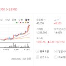 주식회사 심텍 - 청주시 흥덕구 송정동 | 주식회사 심텍