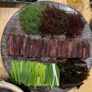 해초과메기양정점 이미지