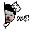 어서오개 네이버블로그