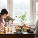 이개내고양이 이미지