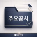 티비에이치글로벌