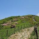 백 산 이미지