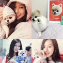 몽스타 이미지