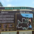 회현마을진입로 네이버블로그