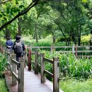 반딧불이 생태학교 이미지