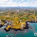 푸른신창 이미지