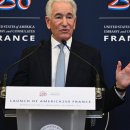 pet 10라 3194 이미지