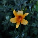 만약에 노래연습장 이미지