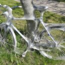 새하얀세상 이미지