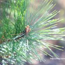 피덕농장 이미지