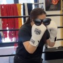 손복싱 | 손 작고 손목 약한 여성의 복싱 글러브 후기; 헤비히터 h7 &amp; 프라이즈링 ss 10oz