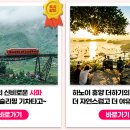 뉴바로 여행사 이미지