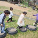 독산유치원 이미지