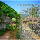 새소리 물소리 이미지