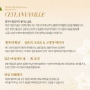 트루라인