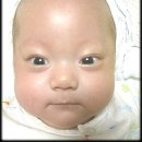 땡굴땡굴 이미지