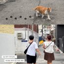 비키룸 | 파티룸 성수 비키 홈 스튜디오 비키 마츠리 내 돈 내산 후기