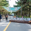 웰컴커피숍 | 제17회 강릉커피축제 2025｜향긋한 커피도시 강릉, 안목커피거리의 가을 향연