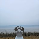 제부도해안산책로