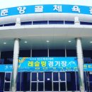 개멋내기 이미지