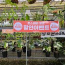 월롱농장 이미지