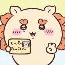 곰양