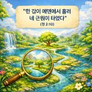 비손강의하윌라