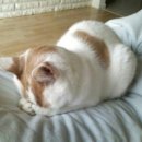 트레이더스옆 이미지