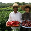 왕인농장 이미지