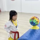 행복한i 화남 태권도 스포츠짐 이미지