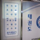 바른아이 수 태권도장 | 소심한 아이도 빠르게 적응할 수 있는 &#34;동탄경희대태권도장&#34;