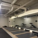 웰플러스 짐 골프연습장 | 테크노짐 &amp; 사우나가 있는 헬스장 웰앤피트니스 강남