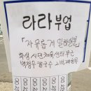 대한민국 농아, 이력서, 부업, 돈버는 어플 검색 이미지