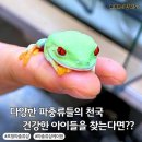 케이팜 | 경주 파충류샵 경주 파충류천국 포항 파충류샵 케이팜