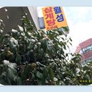 월성삼계탕 | 제주시 월성삼계탕 후기요..찐한 국물이 일품입니다 ^^