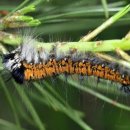 반도병원 이미지