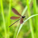 대교  마을회관 이미지