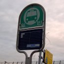 조야초등학교 이미지