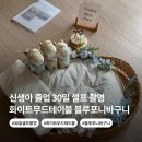 옷바구니 - 순천시 신대로 118 | 신생아 졸업 30일 셀프 촬영 화이트무드테이블 블루포니바구니 가격 촬영 후기