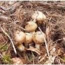 농암로(예안면) 이미지