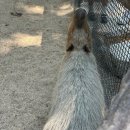 마린파크 동물병원 | 여행 추천 코스, 방콕 사파리월드 마린파크 프라이빗 투어 후기(예약/지도/시간표/호랑이, 기린 먹이주기)