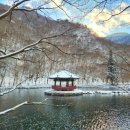 눈꽃이피다 이미지