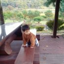 워니댁 네이버블로그