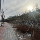 영동유치원 이미지