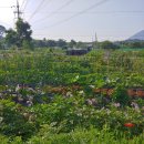 꼬망세어린이집 이미지