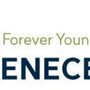 네에게로 이미지