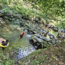 금화계곡주차장 이미지