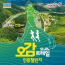 여행, 미룰 수 없는 자유 이미지