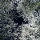 서운동산 이미지